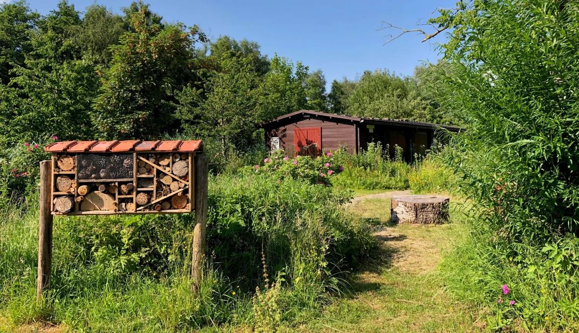 Geins is, de natuur dicht bij huis